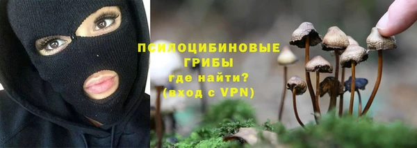 ALPHA PVP Алексин