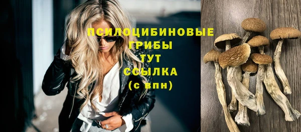 spice Армянск