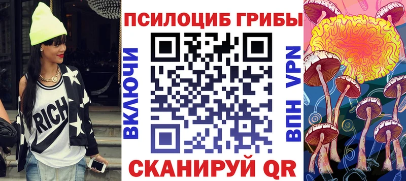 наркошоп  Багратионовск  Галлюциногенные грибы Cubensis 