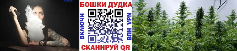 Канабис ГИДРОПОН наркота Багратионовск